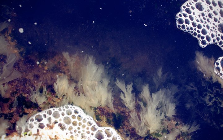 183103_639312535888_608027_n