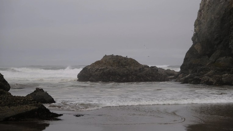  ORMI 99 (Oregon Mile 99). Photo by Ross Todd.  